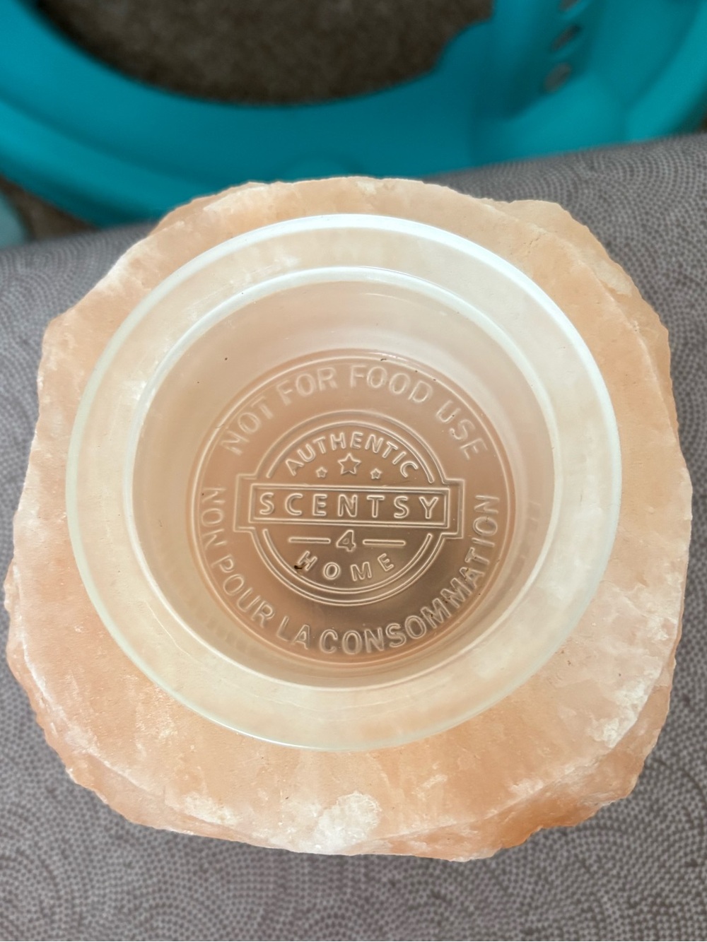 Scentsy Pink Himalayan Salt Wax Warmer Holder